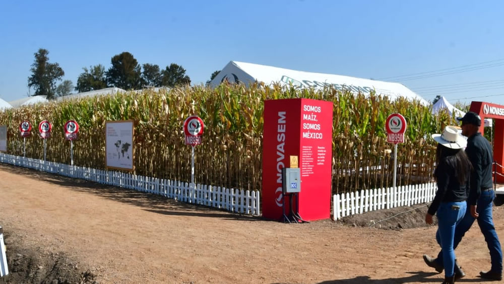 Inauguran Edici N De Expo Agroalimentaria Guanajuato