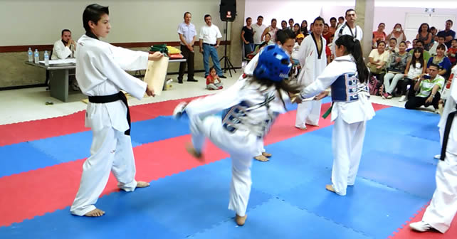 taekwondo