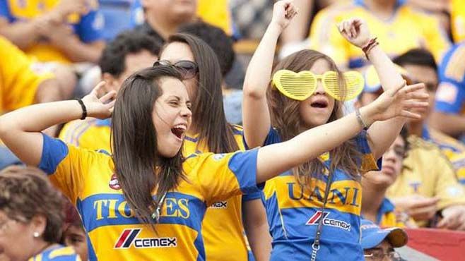 tigres ibertadores