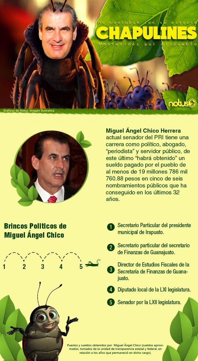 Chapulines Miguel Angel Chico