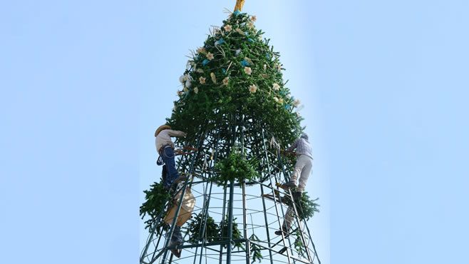 Colocan árbol navideño (3)