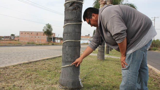 ACTOS VANDÀLICOS (1)