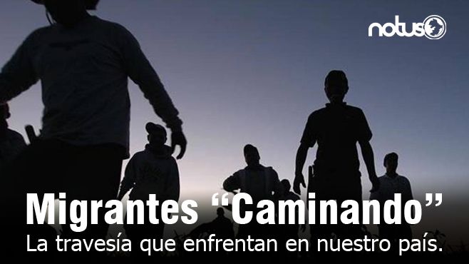 Migrantes Portada