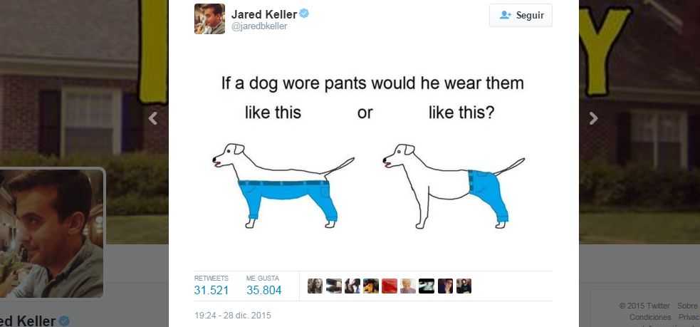 dog pants