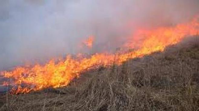 incendio paztizales abasolo