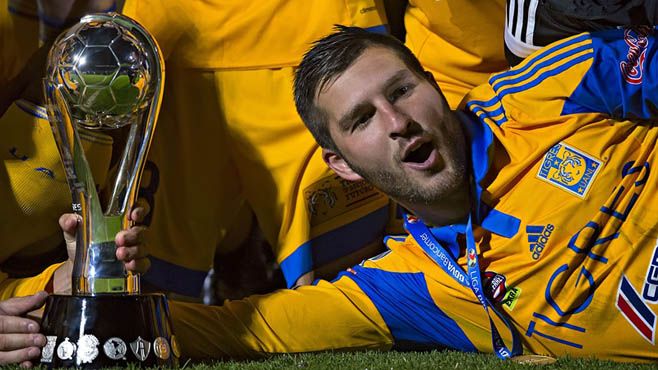 tigres campeon