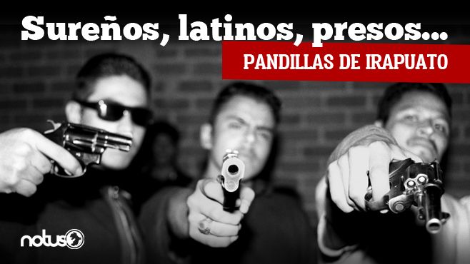 Pandillas portada