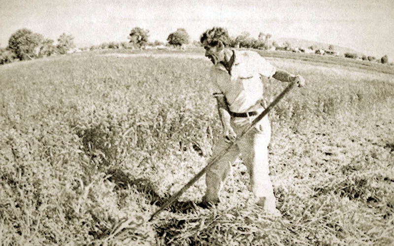 Un paseo por el tiempo…La vida en el campo | Periódico Notus