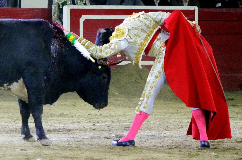 Notus Roca Valadez a hombros, José Mauricio en torero y Roca Rey cumplió