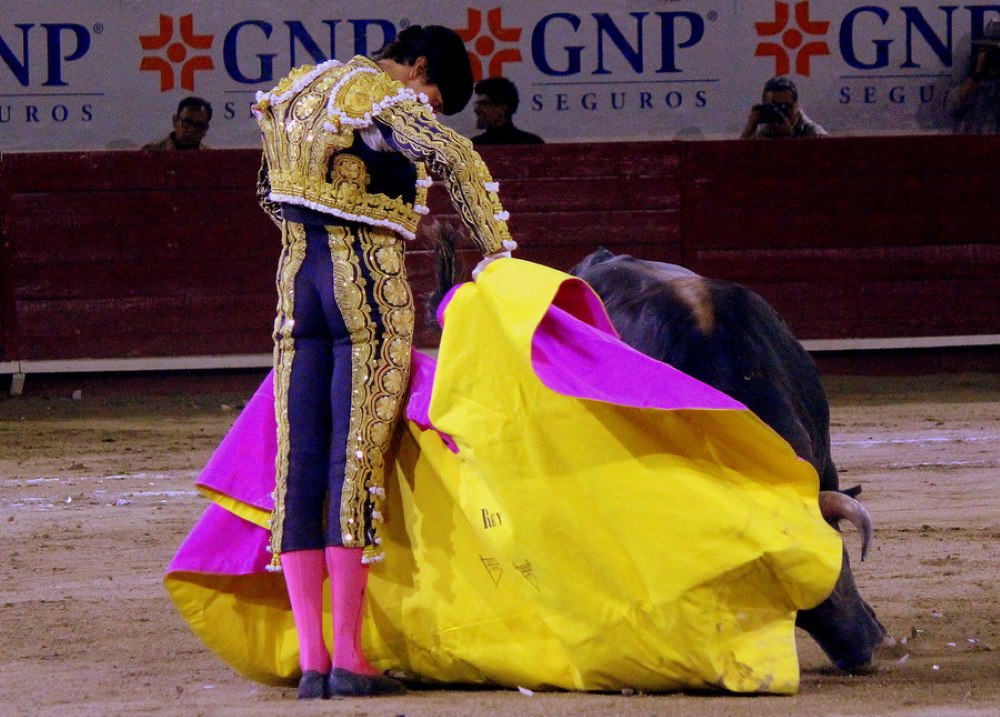 Notus Roca Valadez a hombros, José Mauricio en torero y Roca Rey cumplió