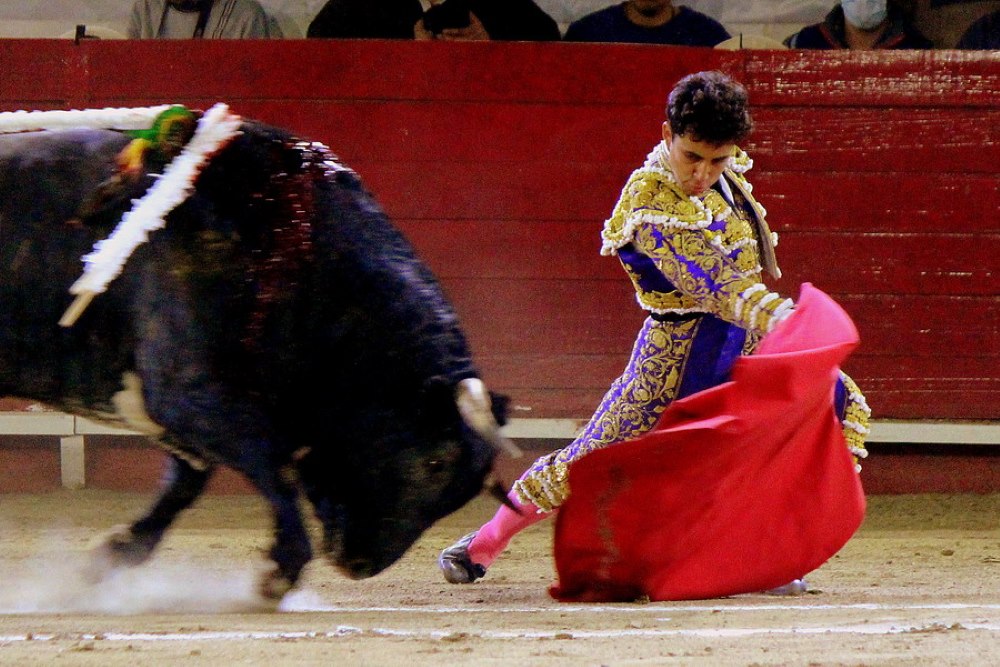 Notus Roca Valadez a hombros, José Mauricio en torero y Roca Rey cumplió