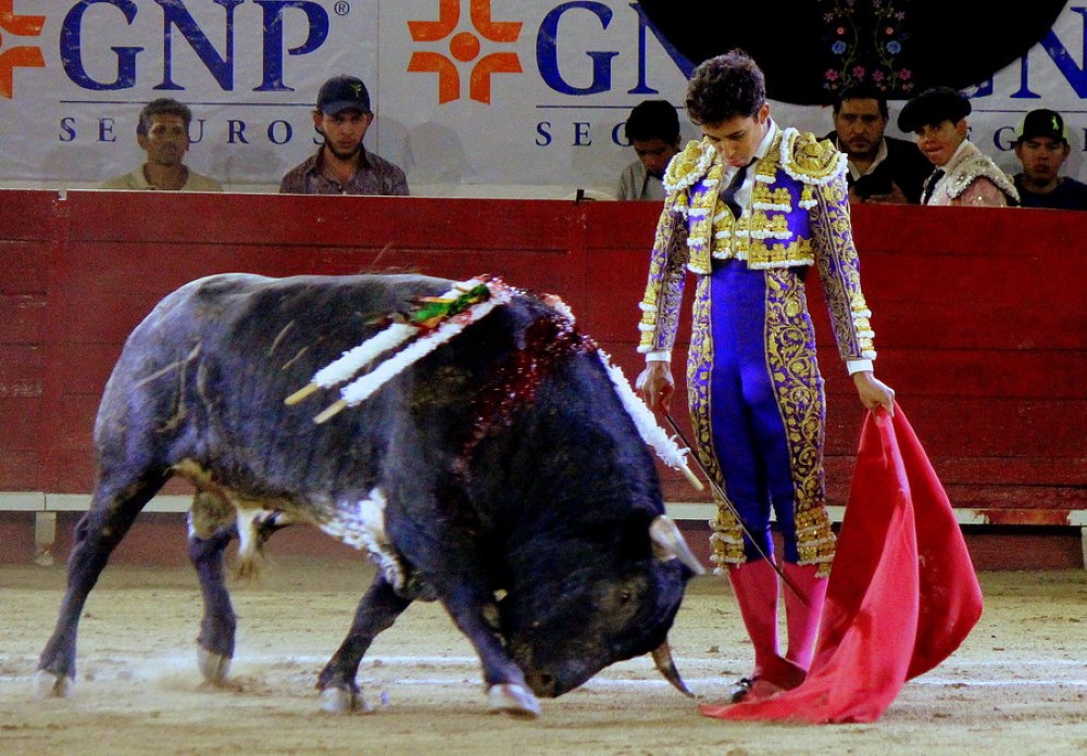 Notus Roca Valadez a hombros, José Mauricio en torero y Roca Rey cumplió