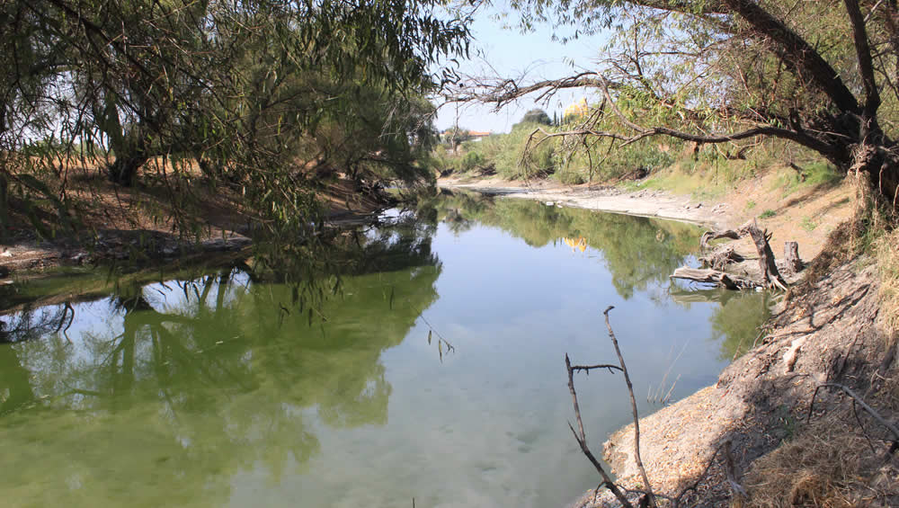 Abasolo forma parte del drenaje que va al Río Lerma