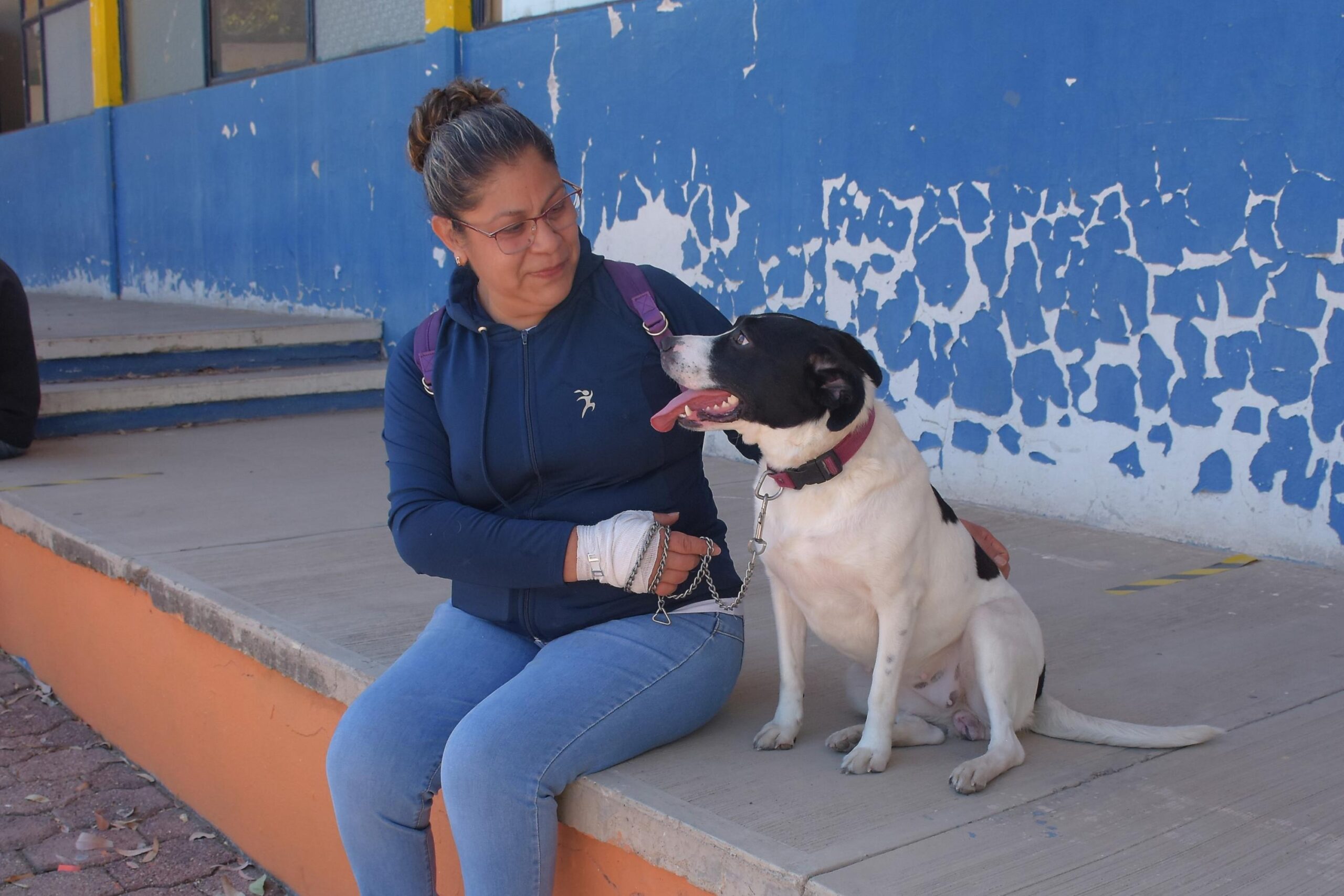 Realizan Esterilización A Perros Y Gatos En Cabecera Municipal