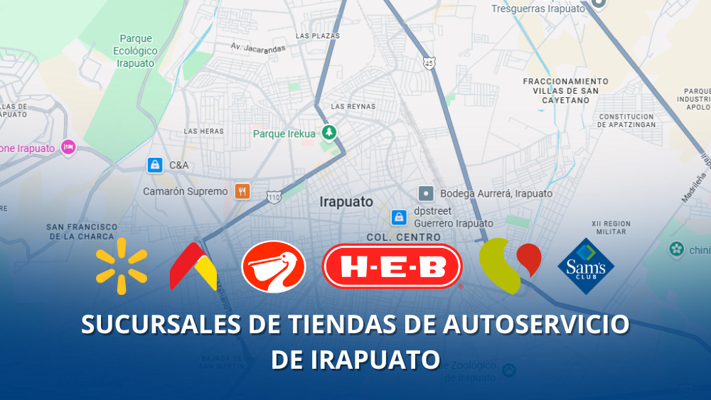 Irapuato concentra 17 sucursales de grandes tiendas de autoservicio